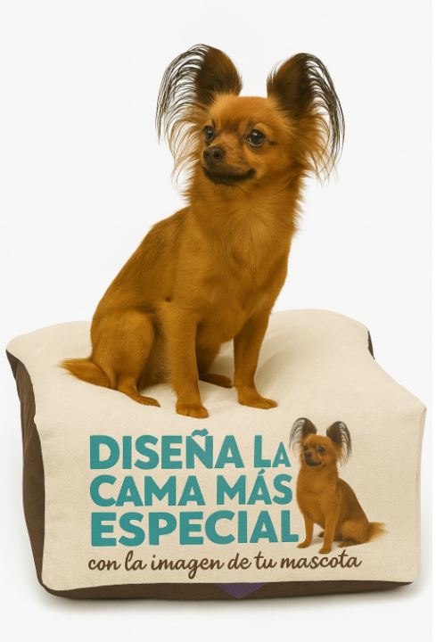 "Design the most special bed with your pet's image – Comfort, style, and love for impactful entrepreneurship."